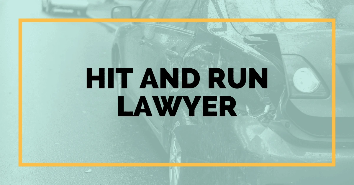 Hit and run lawyer ben9 news